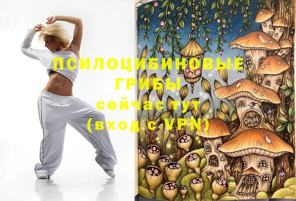 apvp Абинск