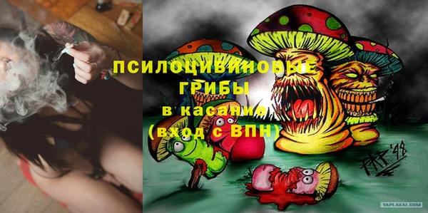 прущая мука Абаза