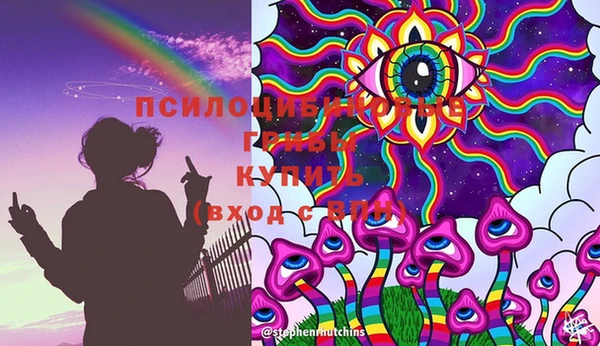 прущая мука Абаза