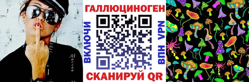Псилоцибиновые грибы Psilocybine cubensis  ОМГ ОМГ зеркало  Чита  цена  